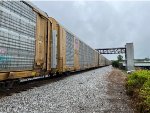 TTGX 821704
